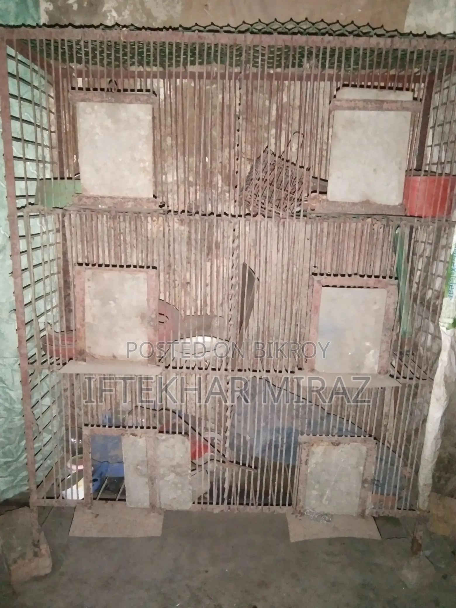This cage is for sale, suitable for both chickens or pigeons.