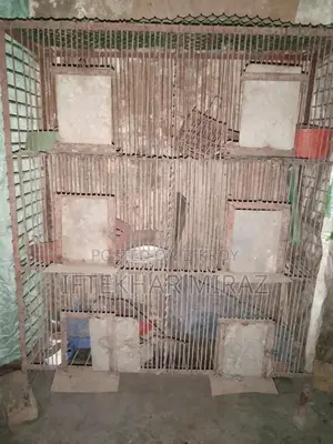 This cage is for sale, suitable for both chickens or pigeons.