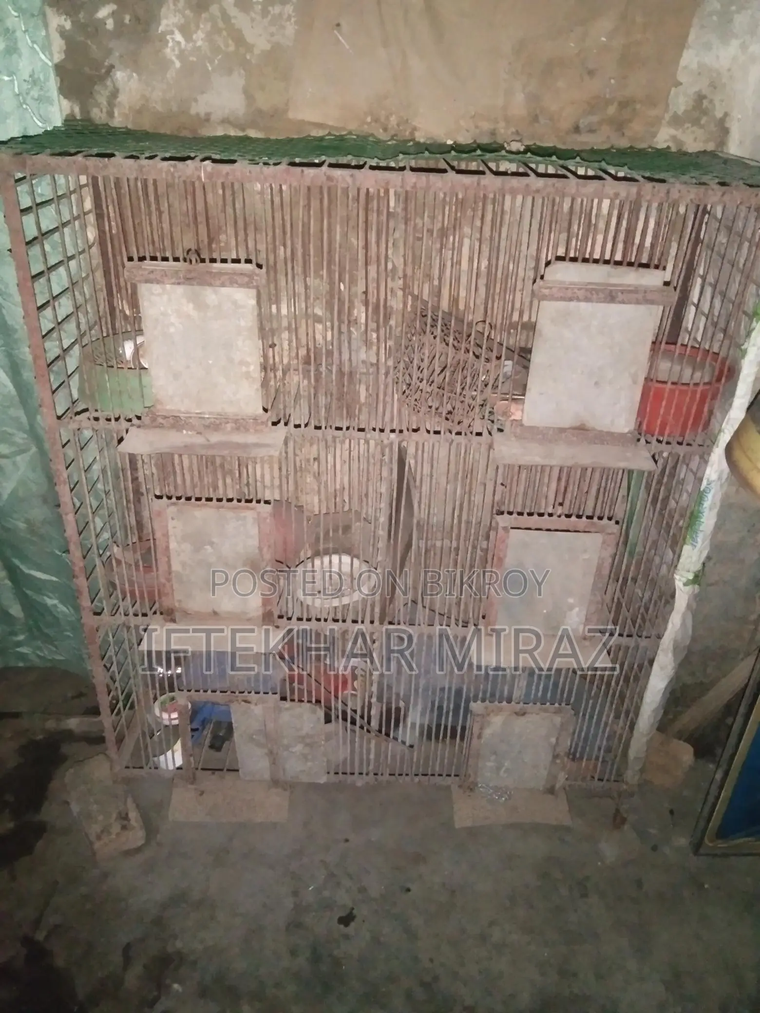 This cage is for sale, suitable for both chickens or pigeons.