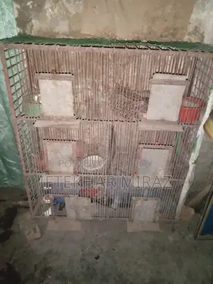 This cage is for sale, suitable for both chickens or pigeons.