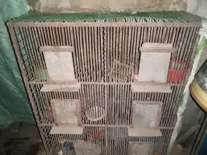 This cage is for sale, suitable for both chickens or pigeons.