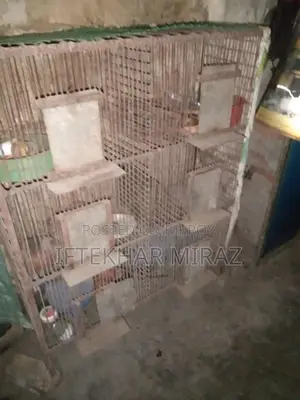 This cage is for sale, suitable for both chickens or pigeons.