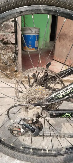 Deart fream cycle