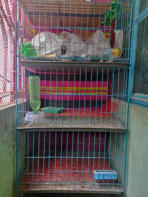 Large three-compartment cage for sale
