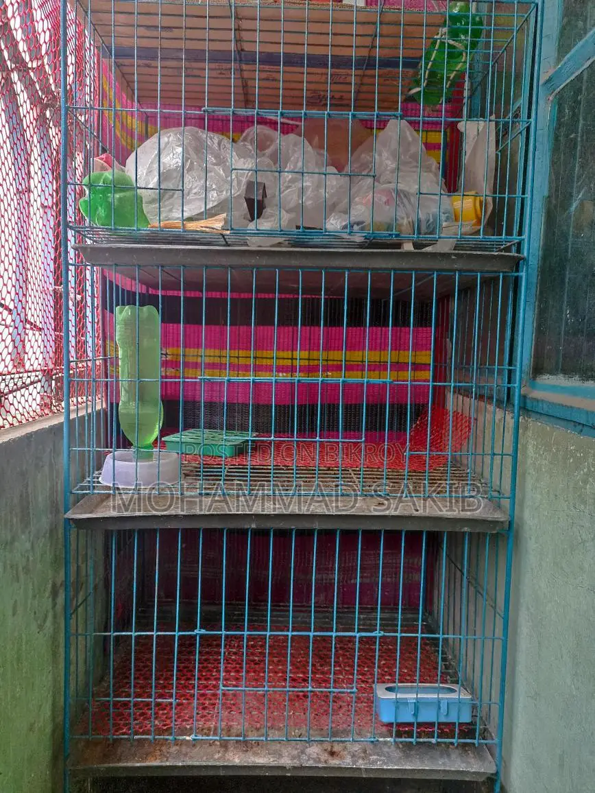 Large three-compartment cage for sale