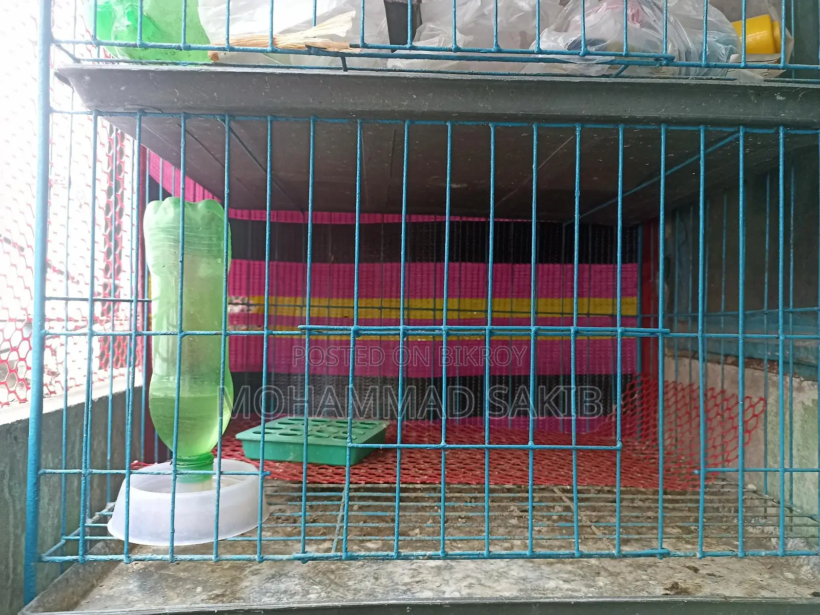 Large three-compartment cage for sale