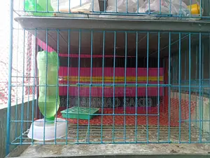 Large three-compartment cage for sale