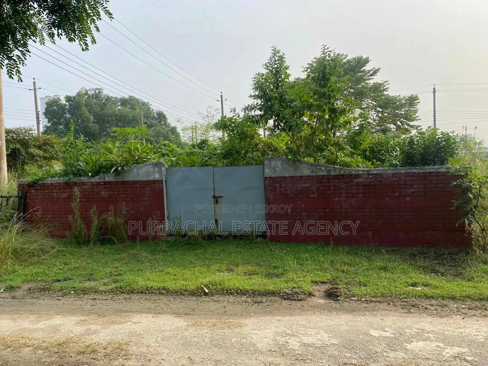 East Facing, 5 Katha Plot In Sec#15