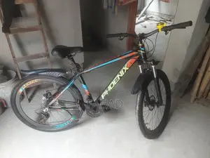 Phonix Cycle