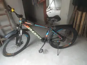 Phonix Cycle