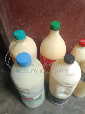 Cow Milk