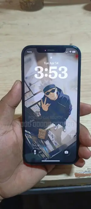 Apple iPhone 12 (Used)