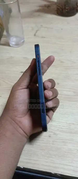 Apple iPhone 12 (Used)