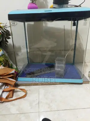 চায়না একুরিয়াম