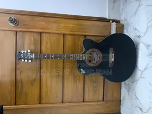সিগনেচার টোপাজ ২৬৫ গিটার