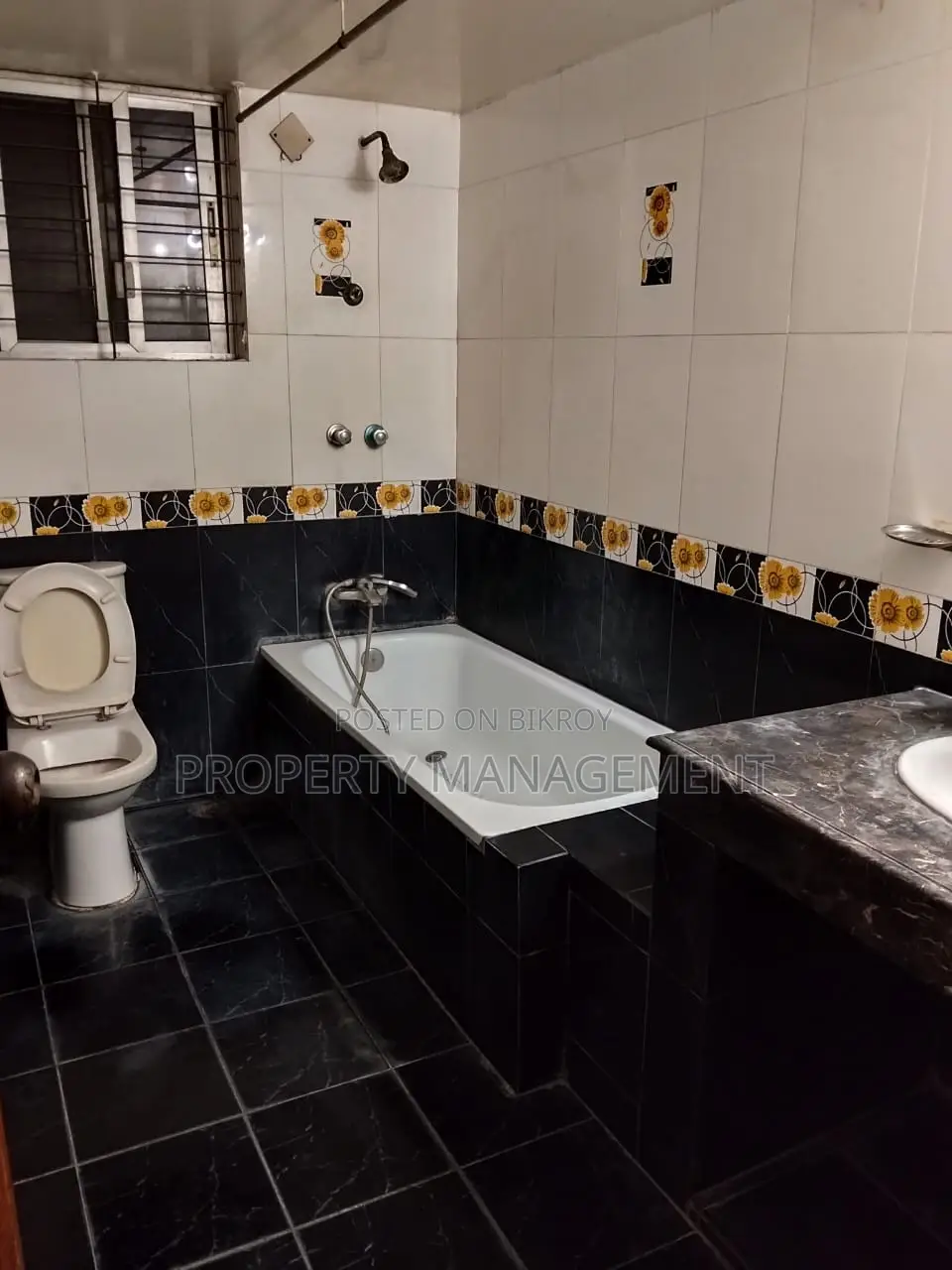2850 sft fully furnished Apartments Rent in Gulshan