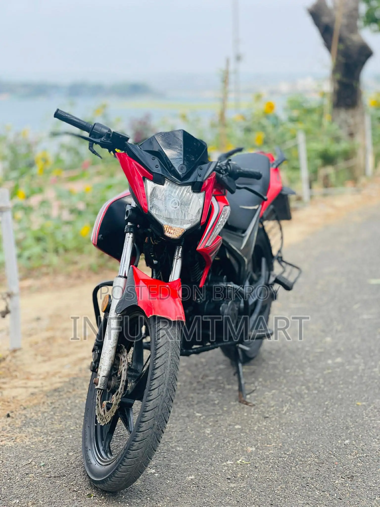 Roadmaster Rapido 2019 - Everything in Good Condition