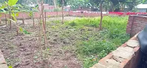 Land for Sale Urgently