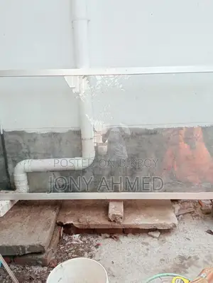 থাই গ্ল্যস