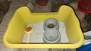 বিড়ালের লিটার বক্স, চিরুনি, খাবারের বাটি