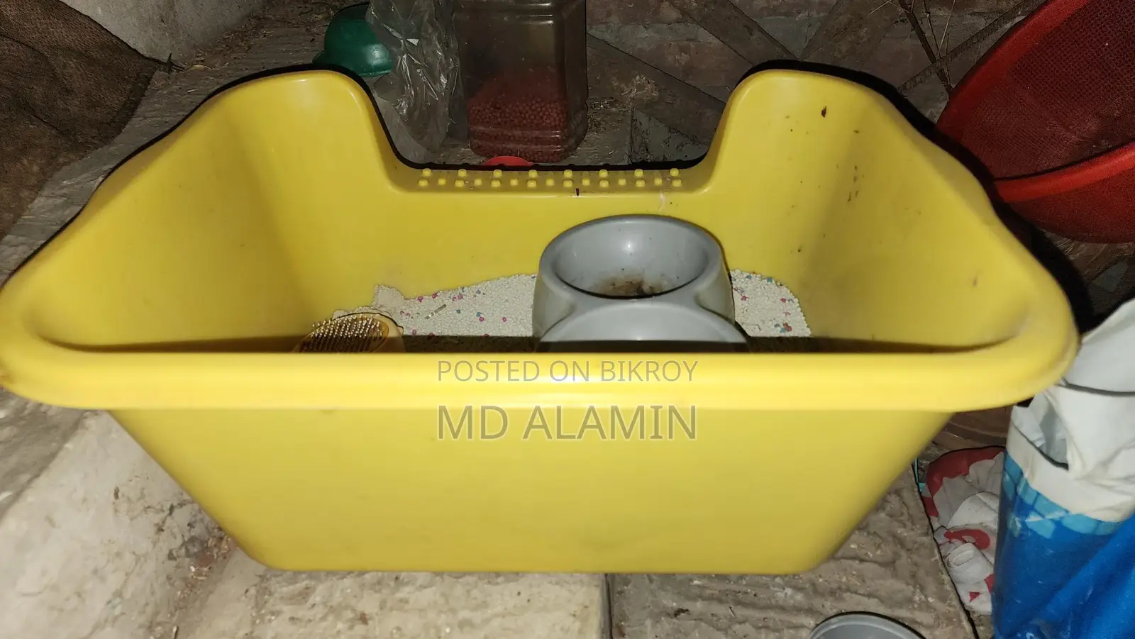 বিড়ালের লিটার বক্স, চিরুনি, খাবারের বাটি