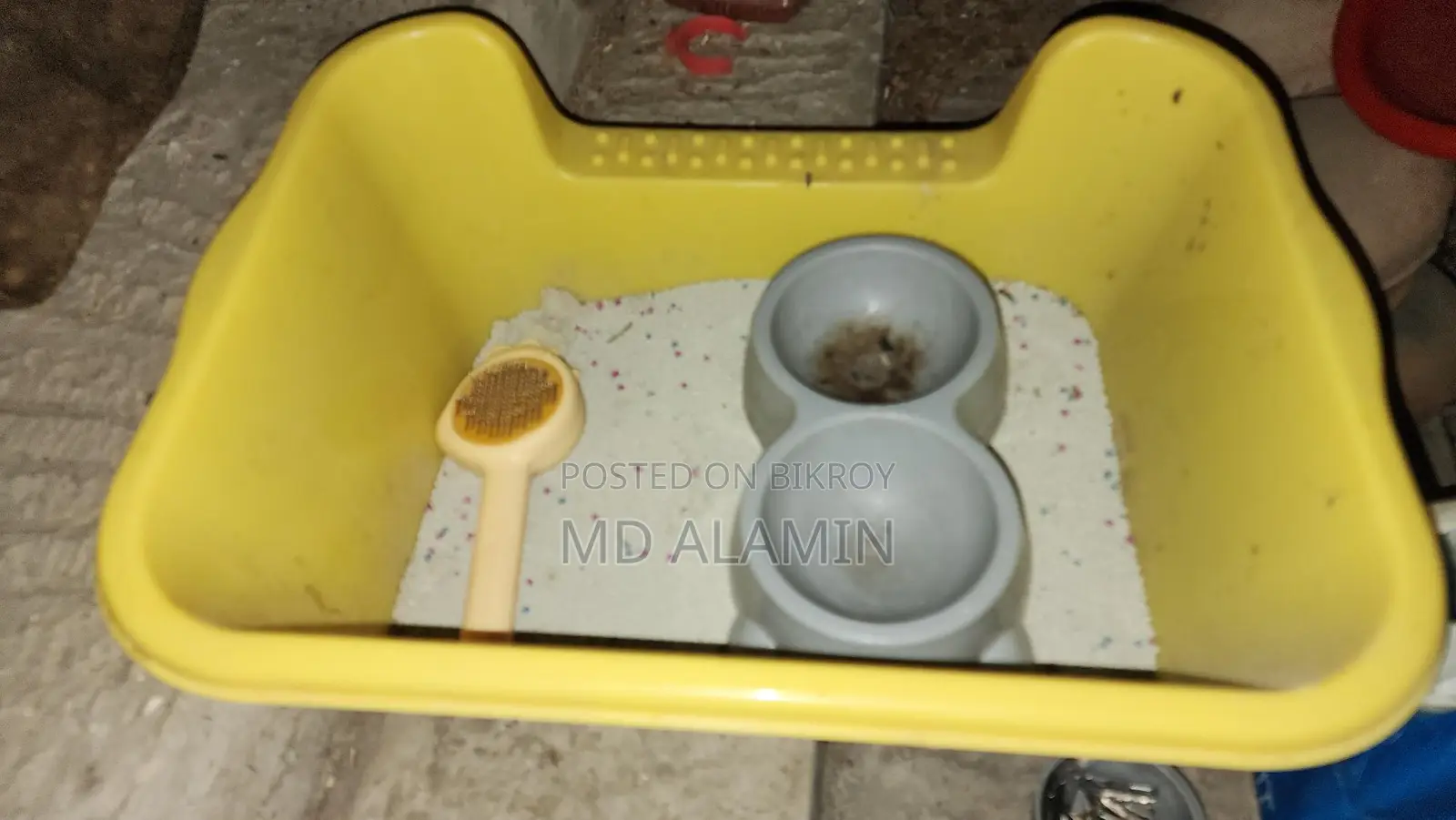 বিড়ালের লিটার বক্স, চিরুনি, খাবারের বাটি