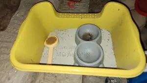 বিড়ালের লিটার বক্স, চিরুনি, খাবারের বাটি