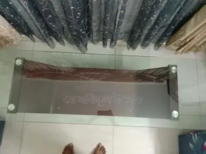 হাতিলের টিভি স্টেন