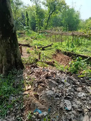 নিজস্ব পৈত্রিক সম্পত্তি বিক্রয় হইবে