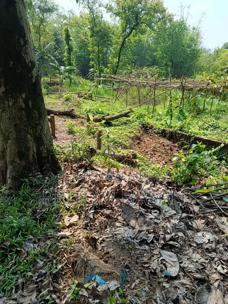 নিজস্ব পৈত্রিক সম্পত্তি বিক্রয় হইবে