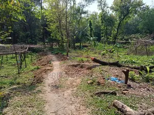 নিজস্ব পৈত্রিক সম্পত্তি বিক্রয় হইবে