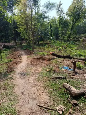 নিজস্ব পৈত্রিক সম্পত্তি বিক্রয় হইবে