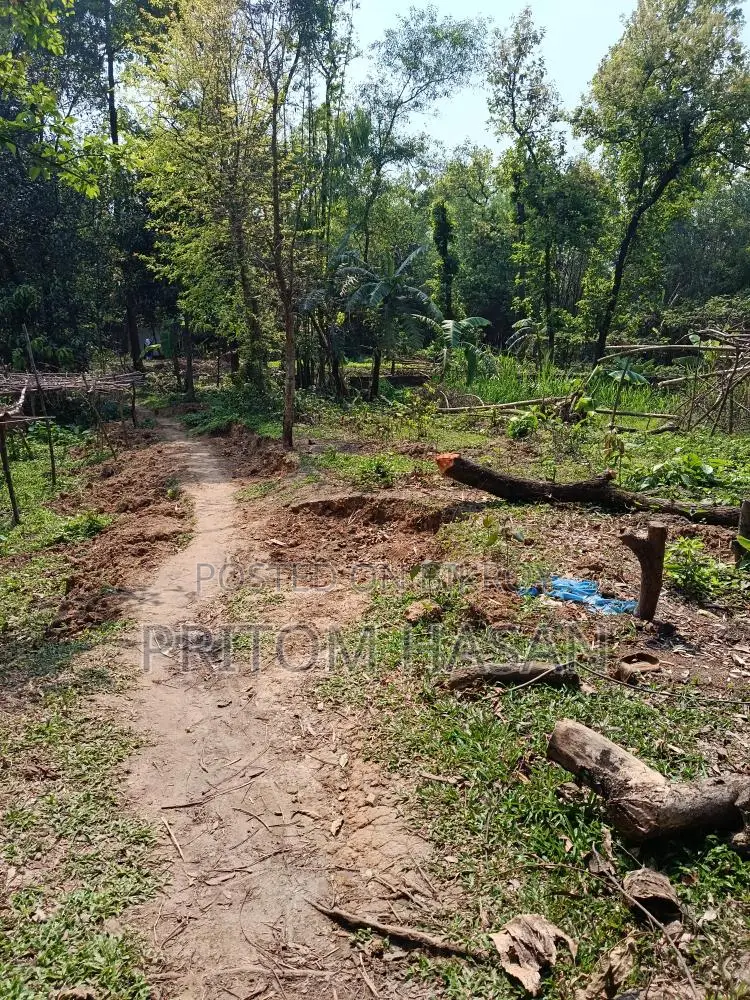 নিজস্ব পৈত্রিক সম্পত্তি বিক্রয় হইবে