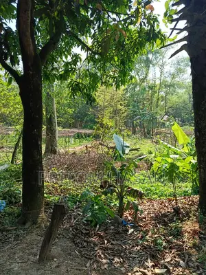 নিজস্ব পৈত্রিক সম্পত্তি বিক্রয় হইবে