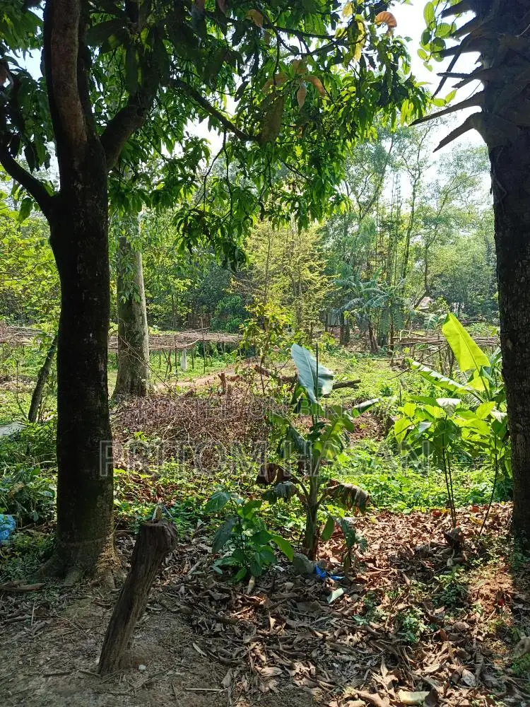 নিজস্ব পৈত্রিক সম্পত্তি বিক্রয় হইবে