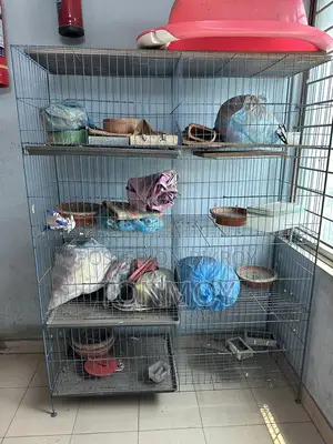 ৮ খোপের খাঁচা