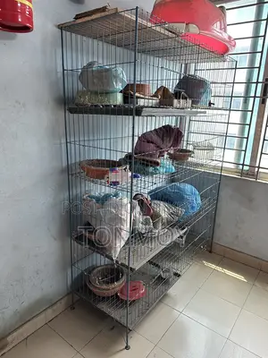 ৮ খোপের খাঁচা