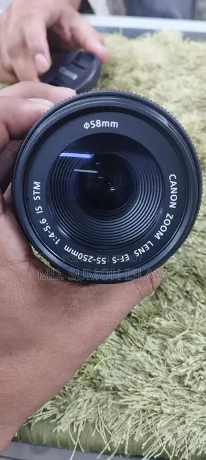 Canon 55-250mm STM Lens
