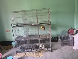 পাখির খাচা