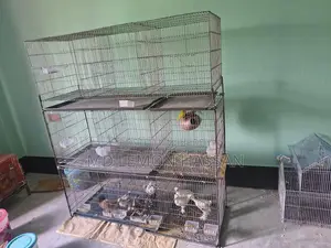 পাখির খাচা