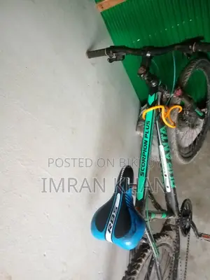 Duranta Bicycle for Sale