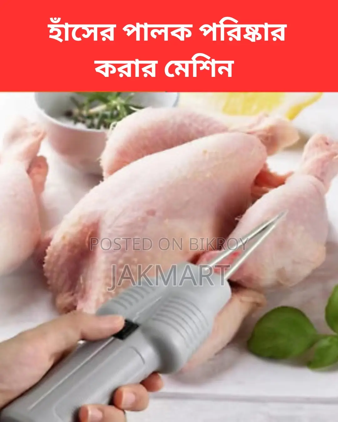হাঁসের পালক পরিষ্কার করার মেশিন