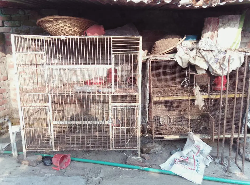 ২ টি লোহার খাচা বিক্রয় করা হবে