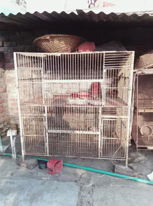 ২ টি লোহার খাচা বিক্রয় করা হবে
