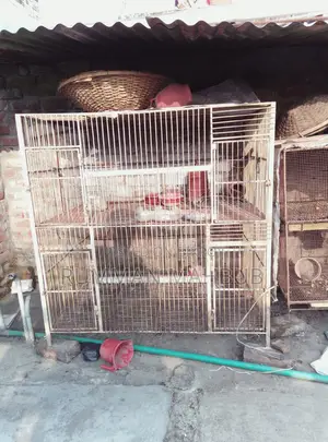 ২ টি লোহার খাচা বিক্রয় করা হবে