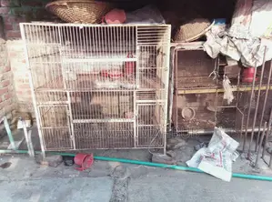 ২ টি লোহার খাচা বিক্রয় করা হবে