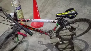 Bicycle For Sale