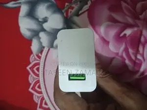 Vivo 33w Charger