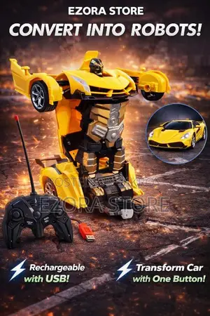 Automatic Remote Control RC Robots Car