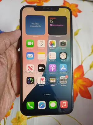 Apple iPhone XS Max 256GB (Used)